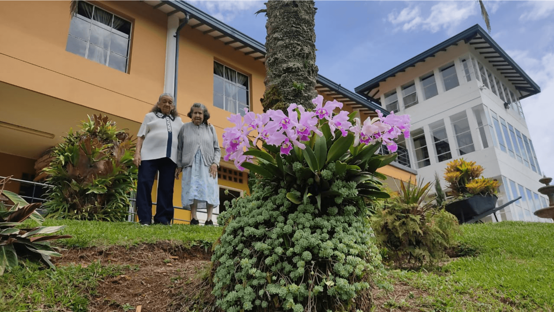 Cómo puedes ayudar – Fundación Hojas de Otoño